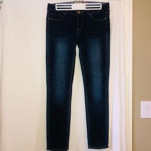 Paige Skyline Denim Skinny Jeans 29